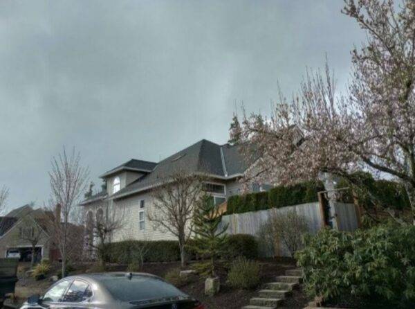 wide shot of a house with a gray roof on a cloudy day with some trees in the way