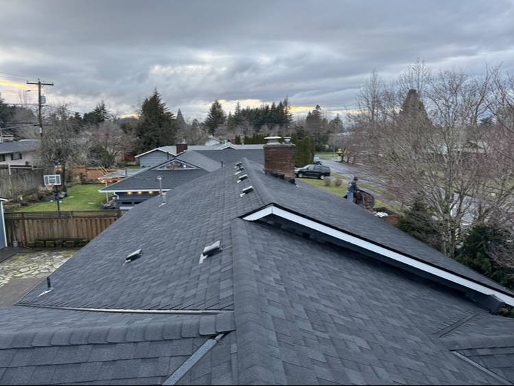 dark architectural roofing shingles on a home