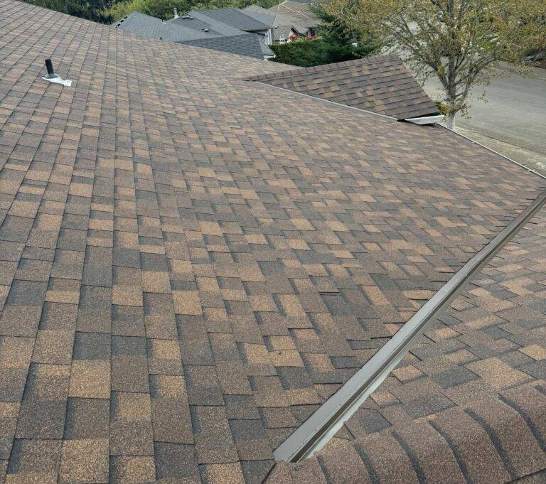 brown architectural shingles on a roof